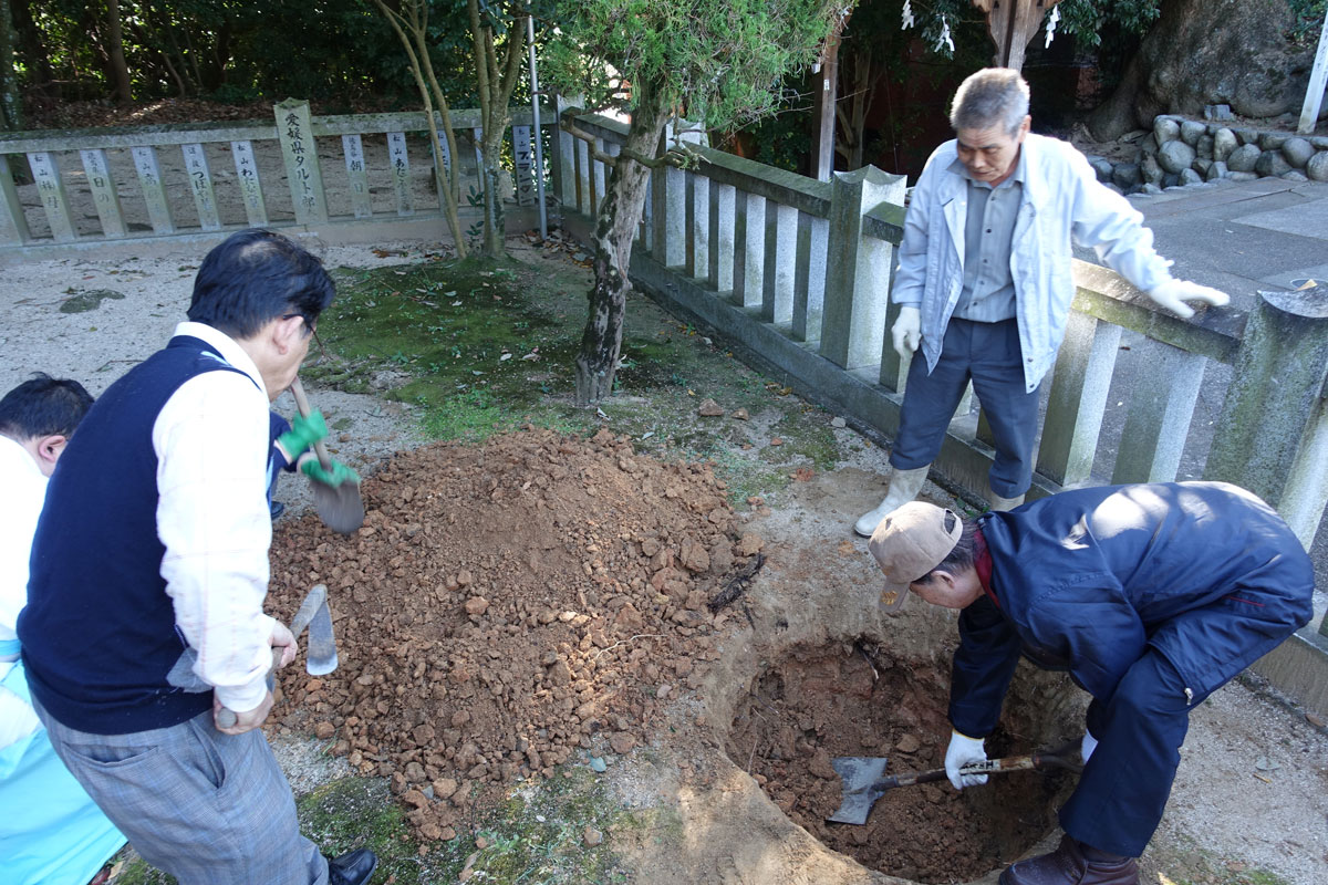 タヂマモリの命と橘_e0253183_12445989.jpg