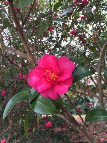 f0314690_09163291.jpeg