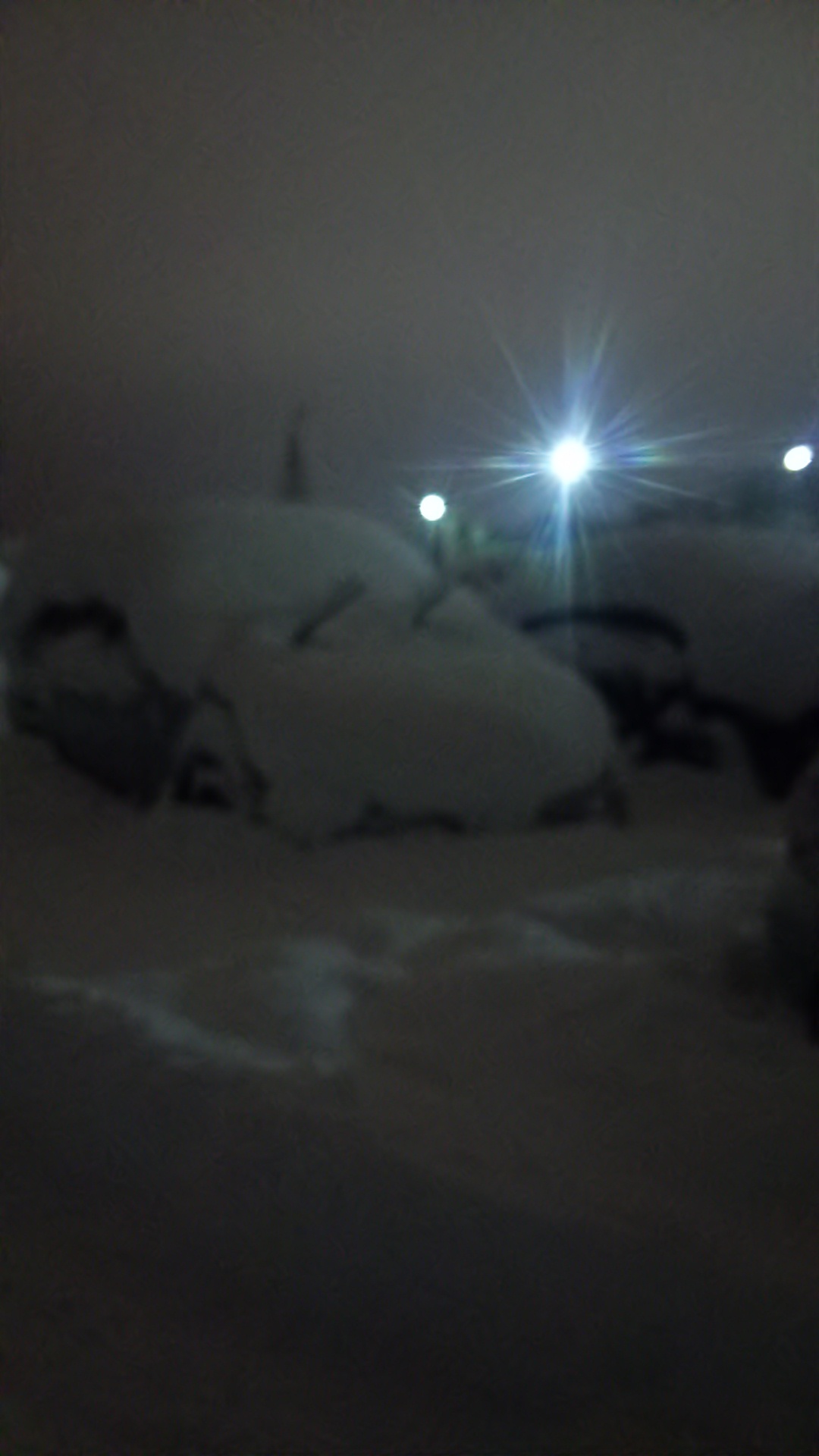 OH~!雪だ!_b0343293_22251823.jpg