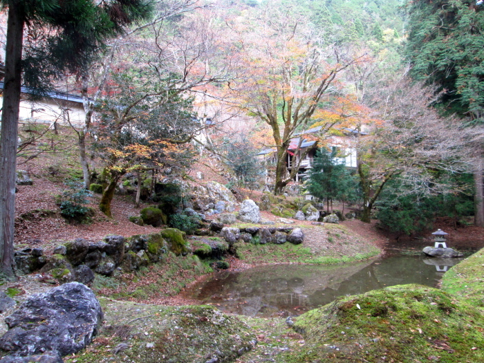秋の京都、阿弥陀寺、寂光院、常照皇寺、妙光寺_c0100195_11152563.jpg