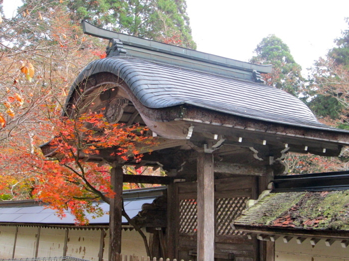 秋の京都、阿弥陀寺、寂光院、常照皇寺、妙光寺_c0100195_11293912.jpg