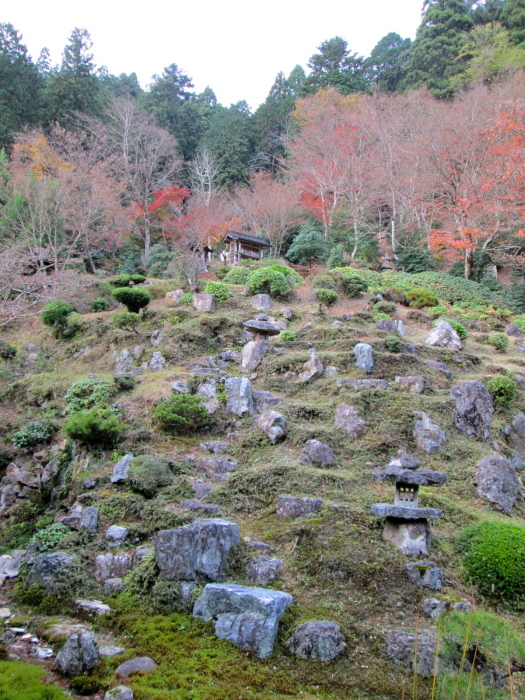 秋の京都、阿弥陀寺、寂光院、常照皇寺、妙光寺_c0100195_11331762.jpg