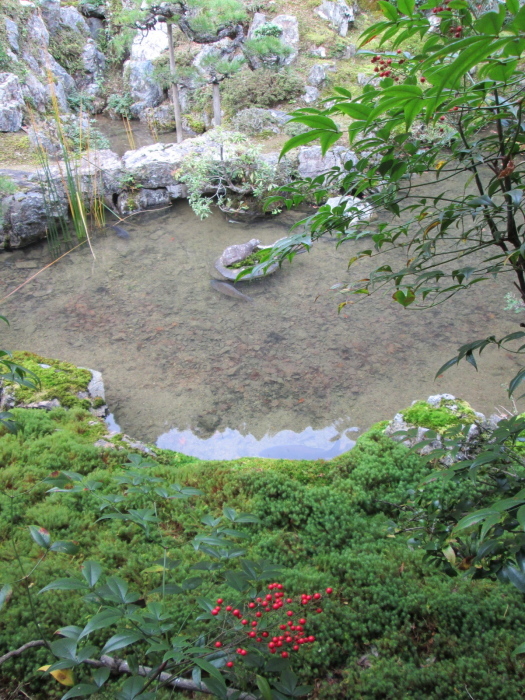 秋の京都、阿弥陀寺、寂光院、常照皇寺、妙光寺_c0100195_11341874.jpg