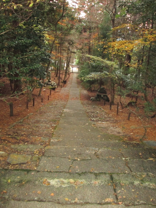 秋の京都、阿弥陀寺、寂光院、常照皇寺、妙光寺_c0100195_11354128.jpg