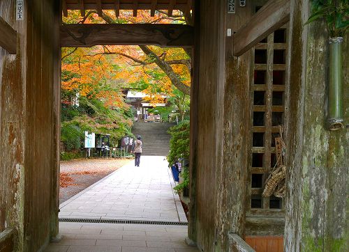 茜を持ってお山に_e0221697_2305680.jpg