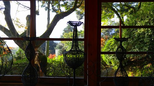 茜を持ってお山に_e0221697_2391496.jpg