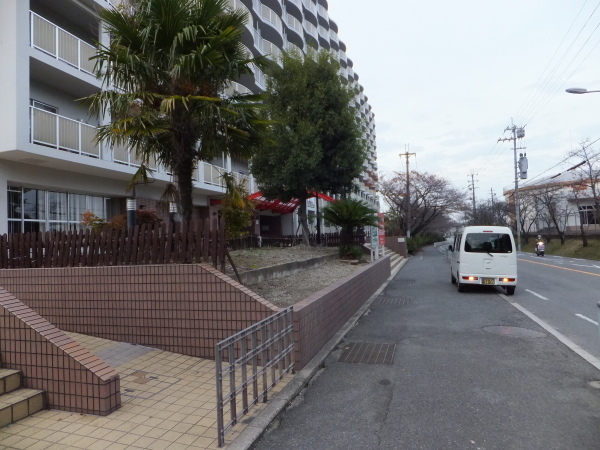 歩こう　緑地を見に行こう　（90）小山田第1緑地_b0212898_16341874.jpg