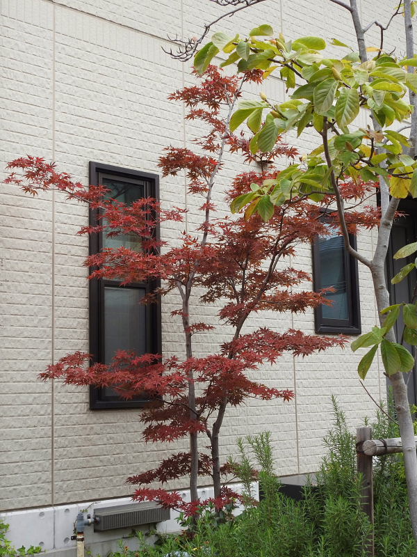 d0261298_0512346.jpg