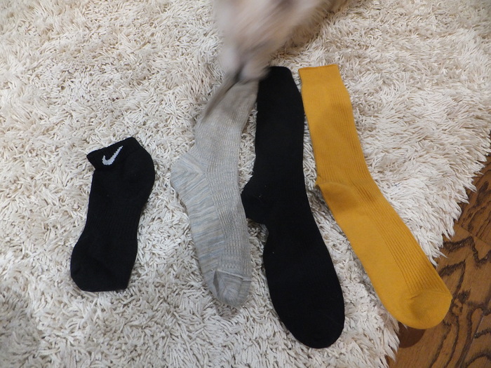 シングルベッドは小さくて_c0226202_223876.jpg