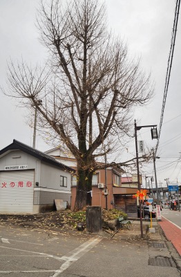 牛木菊平商店が開店!_c0336902_1022738.jpg