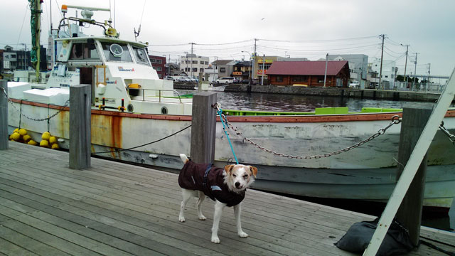 a0040708_149691.jpg
