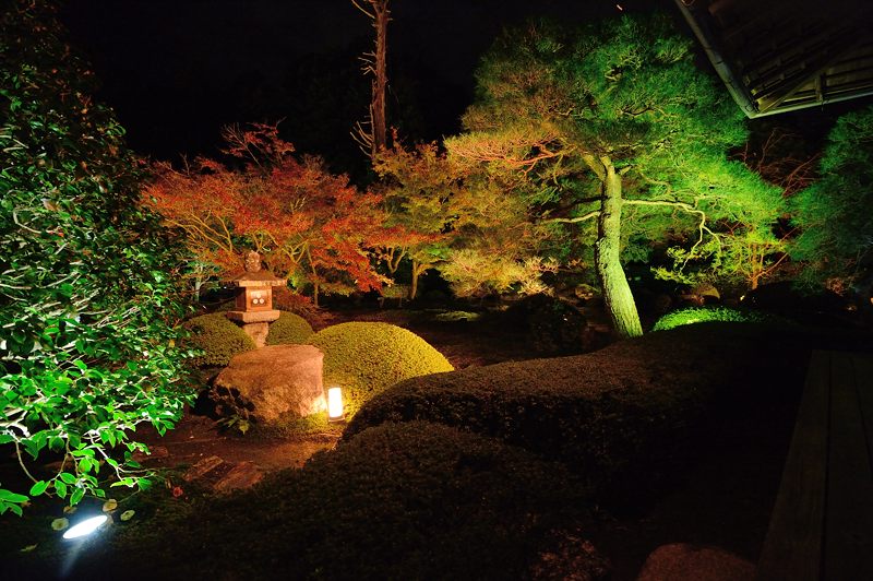 2015京都の紅葉・東山　御寺泉涌寺別院 雲龍院 　其の一_f0032011_19454655.jpg