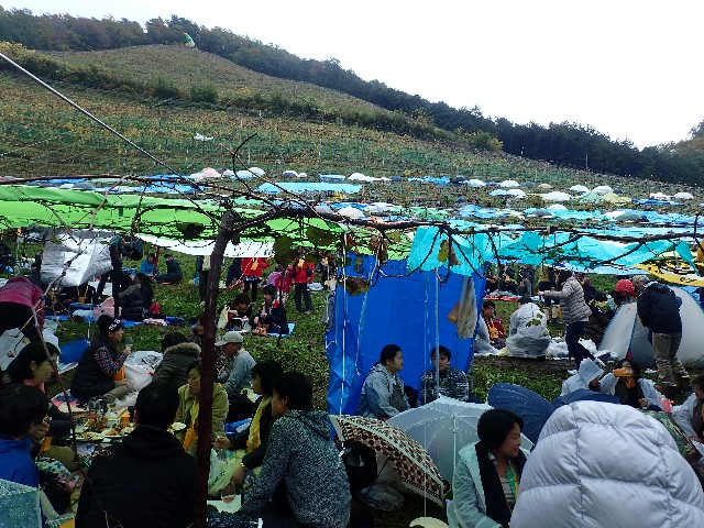 2015　ココ・ファーム・ワイナリーの雨の収穫祭_f0043911_1634615.jpg