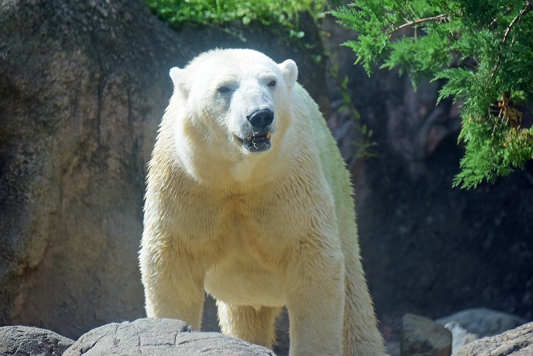 a0151913_1481229.jpg