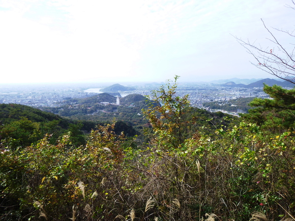 d0170615_1033159.jpg