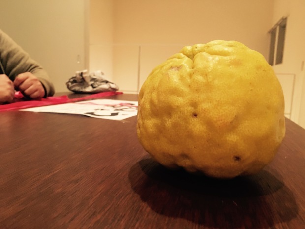e0172219_18022324.jpeg