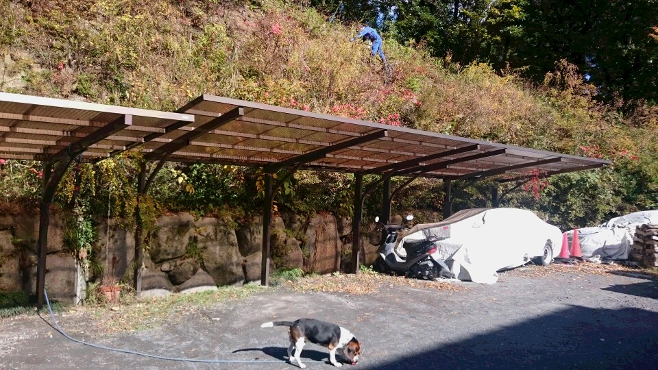f0260120_21533850.jpg