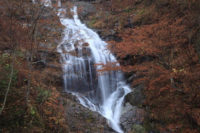 ♪　晩秋の開田高原にて　♪_e0242721_88234.jpg