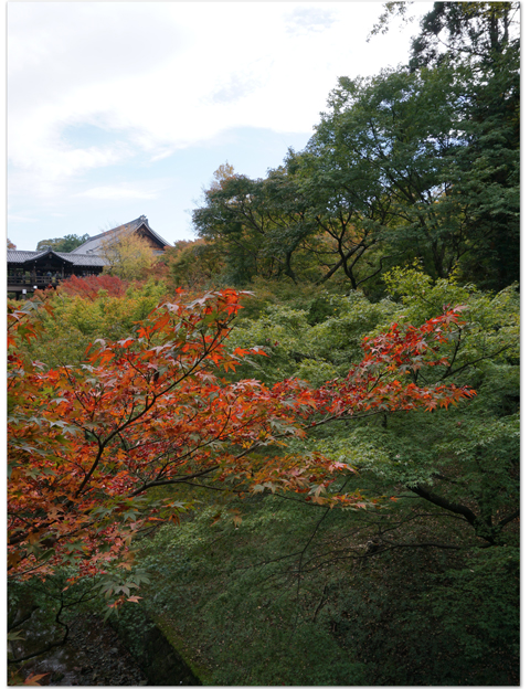 「そうだ、京都行こう。」母娘旅(6)/ 「東福寺」と「にしん蕎麦」と「清水寺」_d0210324_5555010.jpg