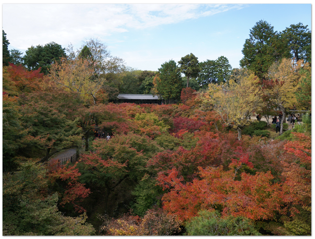 「そうだ、京都行こう。」母娘旅(6)/ 「東福寺」と「にしん蕎麦」と「清水寺」_d0210324_5563274.jpg