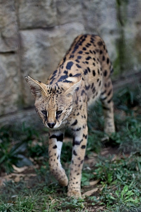 f0224624_653271.jpg