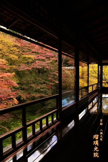 今年の紅葉　～瑠璃光院（京都）～_c0235725_722745.jpg