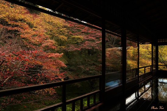 今年の紅葉　～瑠璃光院（京都）～_c0235725_7255884.jpg