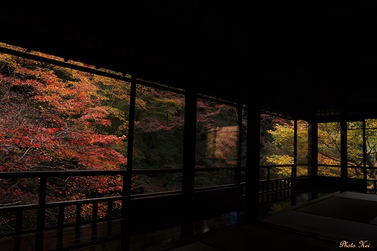 今年の紅葉　～瑠璃光院（京都）～_c0235725_730335.jpg