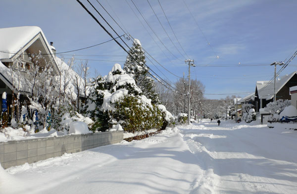 札幌は62年振りの大雪_a0046429_18163923.jpg