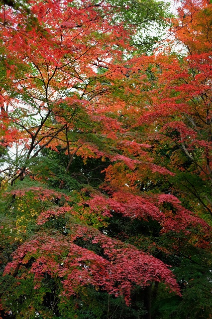 b0230131_17102655.jpg