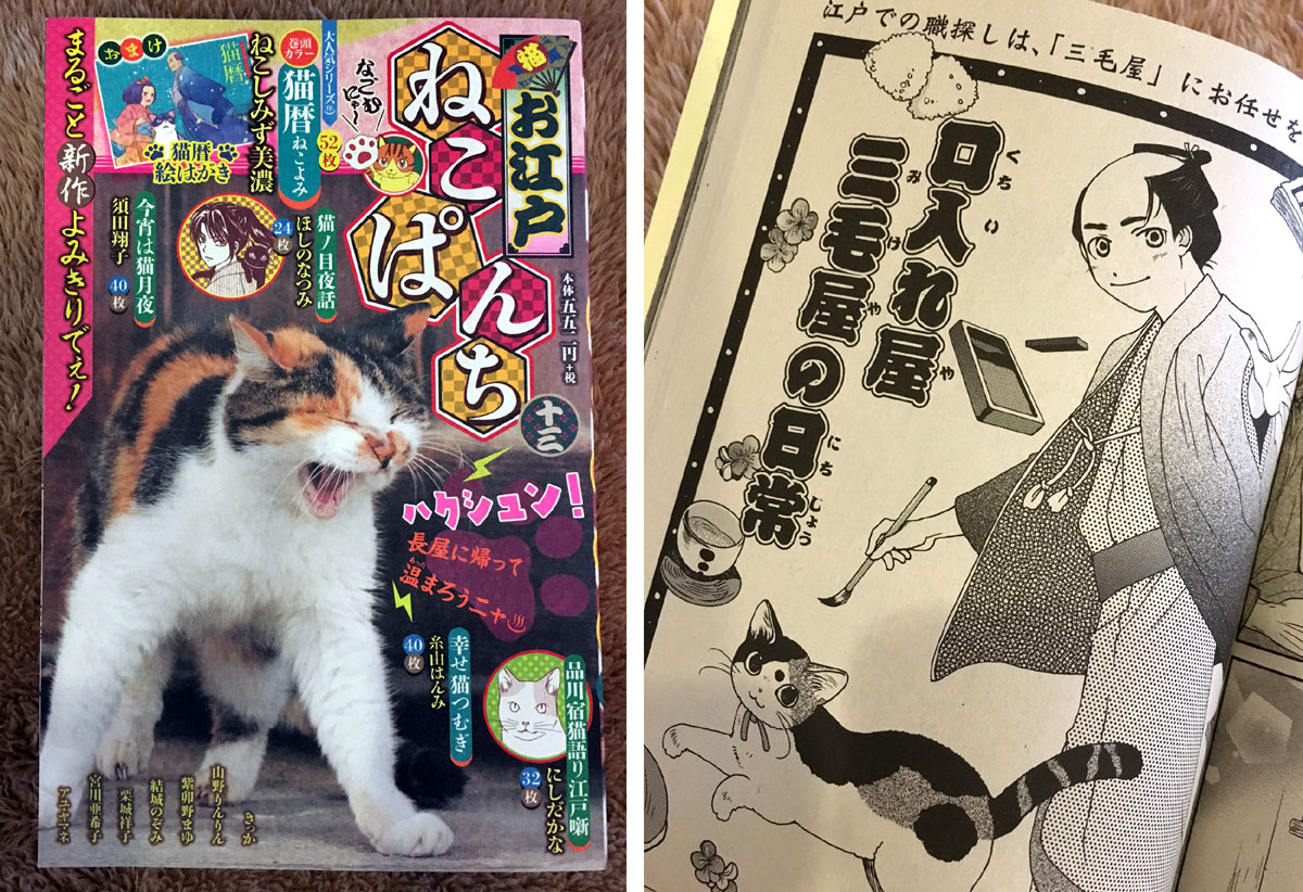 お江戸ねこぱんち 口入れ屋三毛屋の日常 山野りんりんの近況ブログ