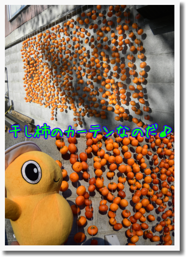 c0259934_13343508.png