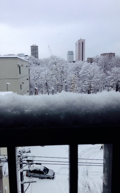 一転して、雪。_b0073937_11523619.jpg