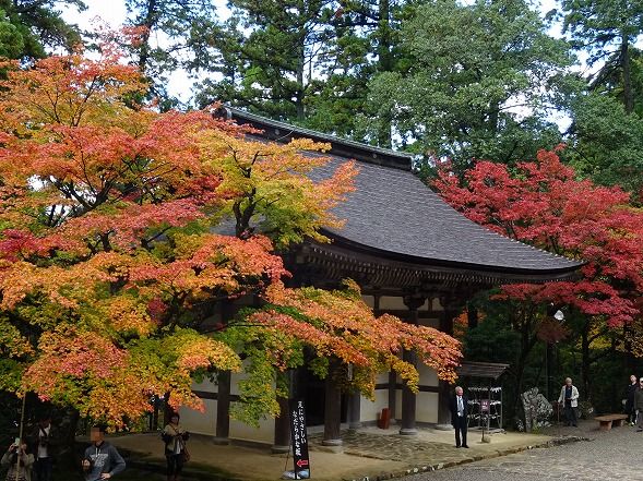 湖東三山・西明寺の紅葉_b0299042_22493127.jpg