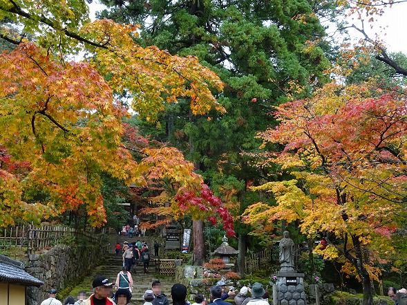 湖東三山・西明寺の紅葉_b0299042_224938.jpg