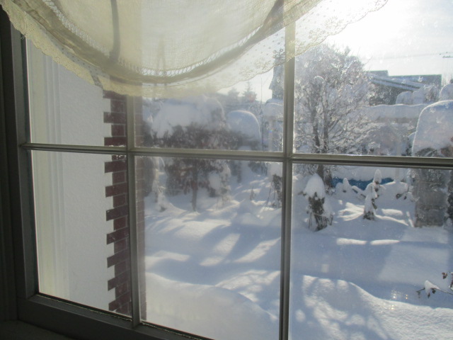 a0279743_9394124.jpg