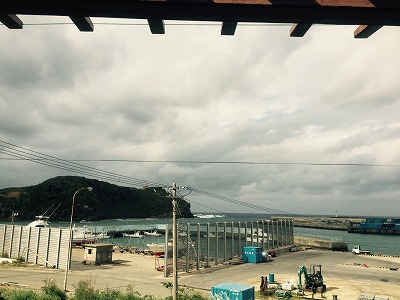 11月25日 大きくなりました♪_b0158746_11403613.jpg