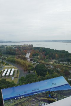 f0045846_8535951.jpg