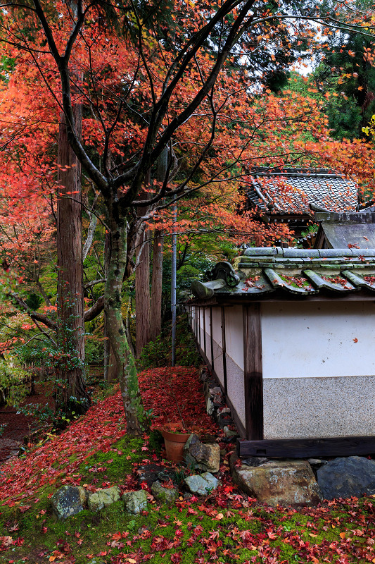 京都の紅葉2015・秋の移ろい（苗秀寺）_f0155048_2385616.jpg