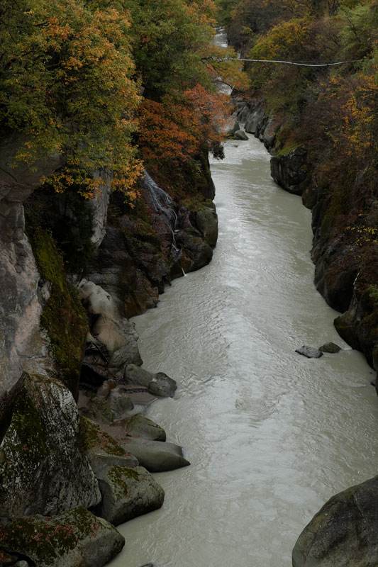 d0342652_1101542.jpg