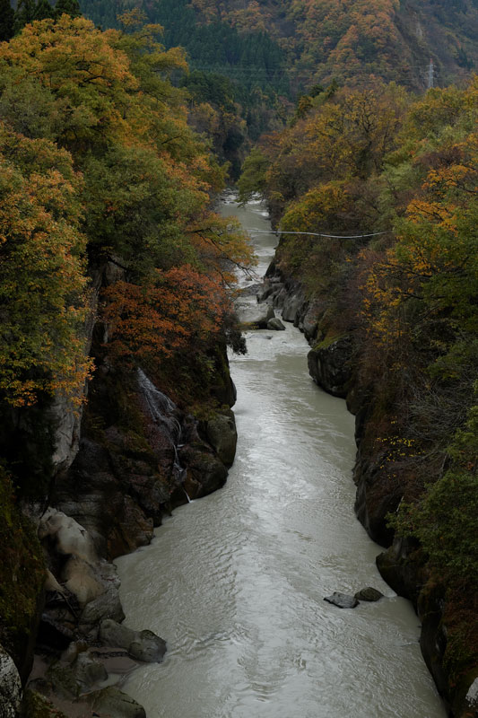 d0342652_1103859.jpg