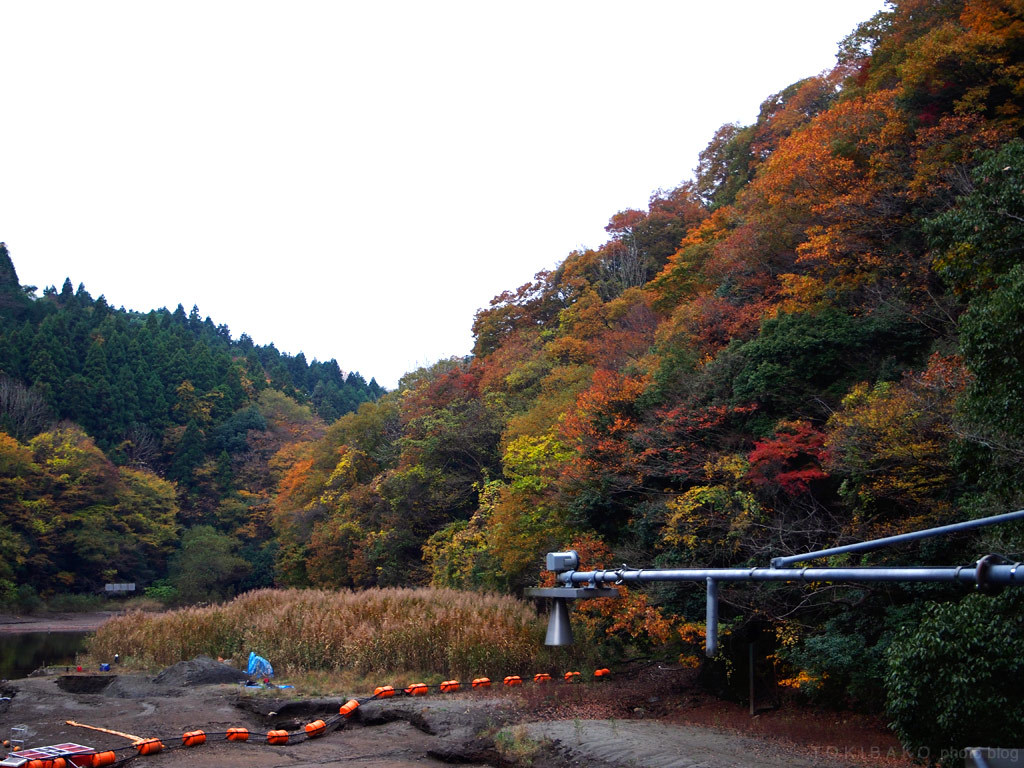 秋色々...温泉探しの途中_d0100156_19111648.jpg