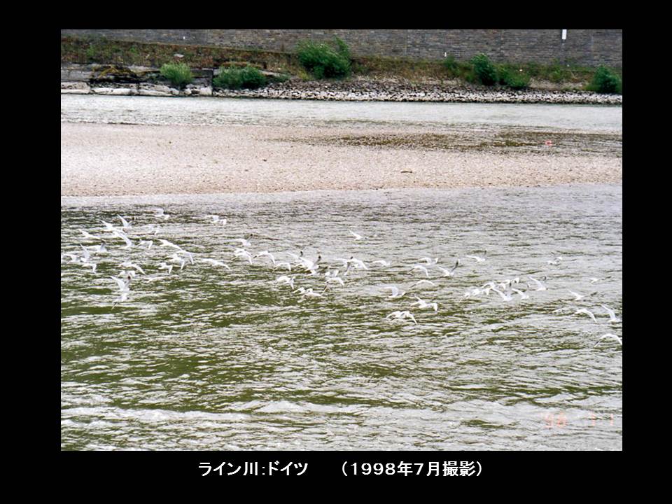 a0261857_9572818.jpg