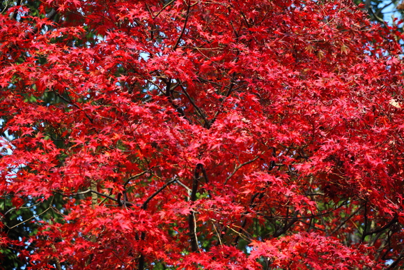 c0272958_23495582.jpg