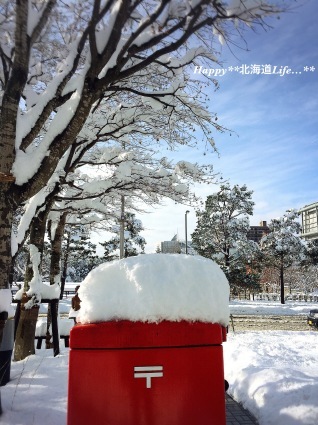 a0337860_13312886.jpeg