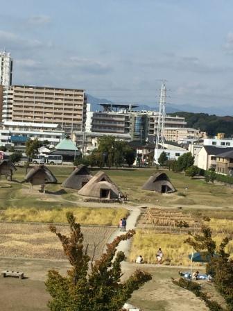 f0200863_16285918.jpg