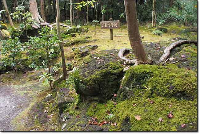 秋の北伊豆・楽寿園・・・三島ジオと小浜池_b0053765_17123624.jpg