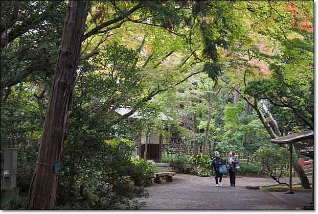 秋の北伊豆・楽寿園・・・三島ジオと小浜池_b0053765_17161608.jpg