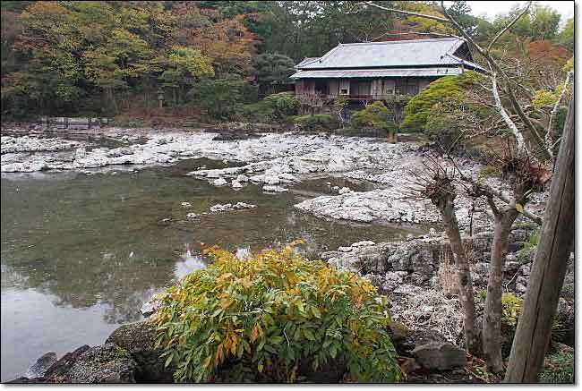 秋の北伊豆・楽寿園・・・三島ジオと小浜池_b0053765_20355261.jpg