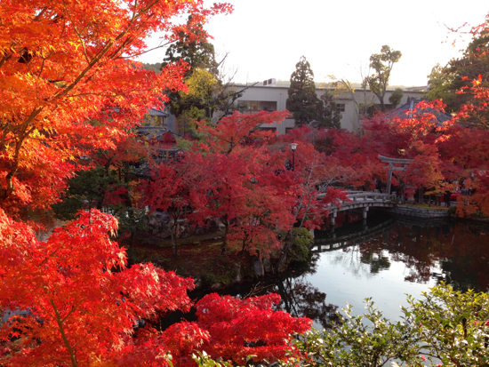 紅葉の京都へ　　永観堂〜高台寺_f0052869_1694082.jpg